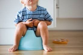 Potty Training - How to Potty Train